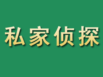 安源市私家正规侦探